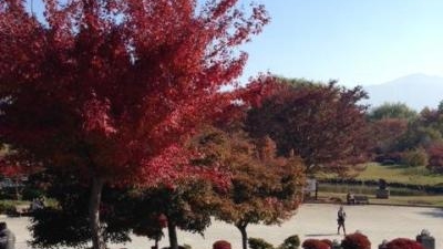 ハイウェイオアシス 小布施総合公園 長野県上高井郡小布施町大字大島 Yahoo ロコ