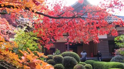 国史跡 釈迦山 百済寺 湖東三山 滋賀県東近江市百済寺町 紅葉 Yahoo ロコ