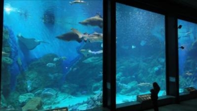 マリンワールド海の中道 福岡県福岡市東区大字西戸崎 水族館 Yahoo ロコ