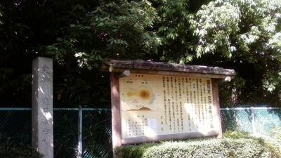 亀甲山古墳 東京都大田区田園調布 Yahoo ロコ