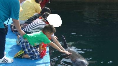 室戸ドルフィンセンター 高知県室戸市室戸岬町 水族館 Yahoo ロコ