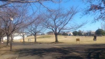 さむかわ中央公園 神奈川県高座郡寒川町宮山 Yahoo ロコ