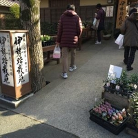 伊勢の園芸のお店 施設一覧 14件 Yahoo ロコ