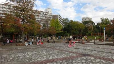 浦安交通公園 千葉県浦安市美浜 Yahoo ロコ