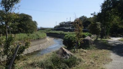 奈良県立竜田公園 奈良県生駒郡斑鳩町龍田南 紅葉 Yahoo ロコ