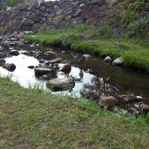 かみくの桃源郷 島根県雲南市大東町上久野 紅葉 Yahoo ロコ