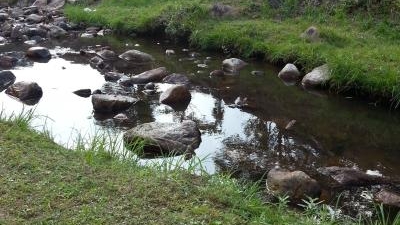 かみくの桃源郷 島根県雲南市大東町上久野 紅葉 Yahoo ロコ