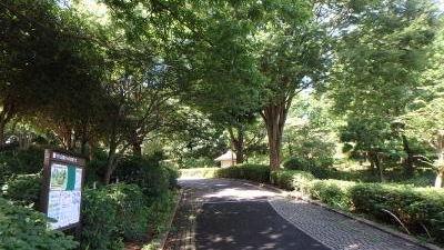 今川公園 神奈川県横浜市旭区今川町 Yahoo ロコ