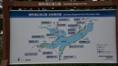 御所湖広域公園 野菊公園 岩手県岩手郡雫石町西安庭 Yahoo ロコ