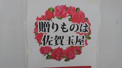 佐賀玉屋 佐賀県佐賀市中の小路 玉屋 Yahoo ロコ