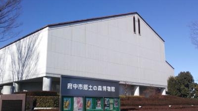 府中市郷土の森博物館 東京都府中市南町 博物館 Yahoo ロコ