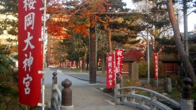 桜岡大神宮 宮城県仙台市青葉区桜ケ岡公園 結婚式場 Yahoo ロコ