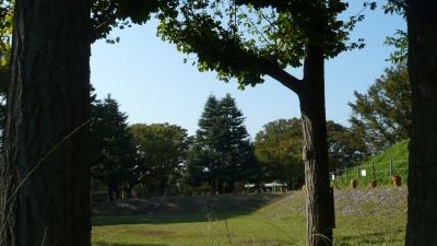 玉川野毛町公園屋外プール 東京都世田谷区野毛 市営 公営プール Yahoo ロコ