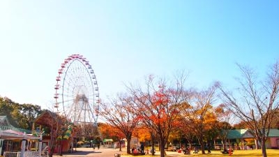 のんほいパーク 豊橋総合動植物公園 愛知県豊橋市大岩町 テーマパーク Yahoo ロコ