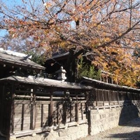 栃木県の神社一覧 810件 Yahoo ロコ