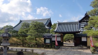 崇福寺 福岡県福岡市博多区千代 仏閣 寺 観音 不動 薬師 増強用 Yahoo ロコ