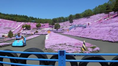 藻琴山温泉 芝桜公園 北海道網走郡大空町東藻琴末広 Yahoo ロコ