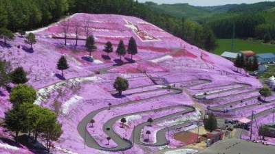 藻琴山温泉 芝桜公園 北海道網走郡大空町東藻琴末広 Yahoo ロコ