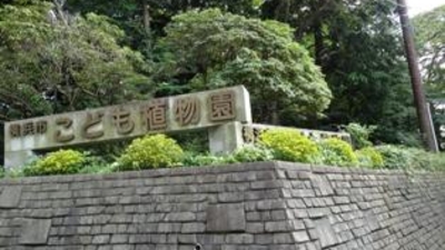 横浜市こども植物園 神奈川県横浜市南区六ツ川 植物園 Yahoo ロコ