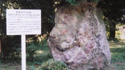 東京大学大学院理学系研究科附属植物園 東京都文京区白山 植物園 Yahoo ロコ