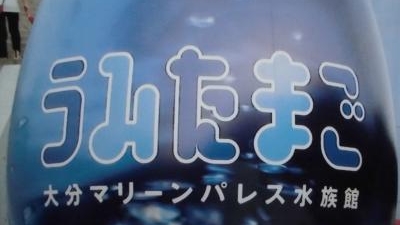 大分マリーンパレス水族館 うみたまご 大分県大分市大字神崎 水族館 Yahoo ロコ