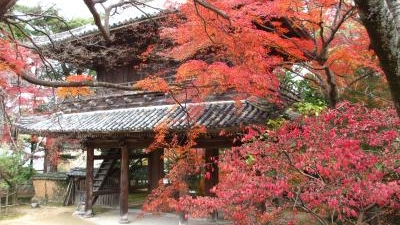 功山寺 山口県下関市長府川端 紅葉 Yahoo ロコ