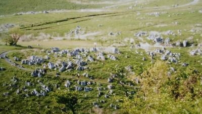 秋吉台カルスト展望台 山口県美祢市秋芳町秋吉 Yahoo ロコ