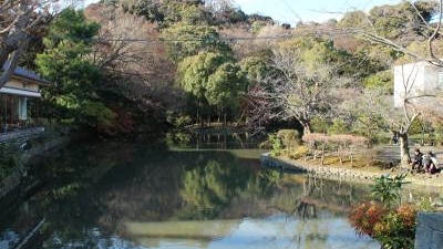 源平池 神奈川県鎌倉市雪ノ下 Yahoo ロコ