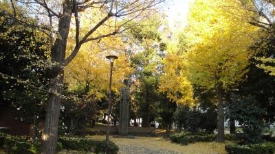 滝野川公園 東京都北区西ケ原 近隣公園 Yahoo ロコ