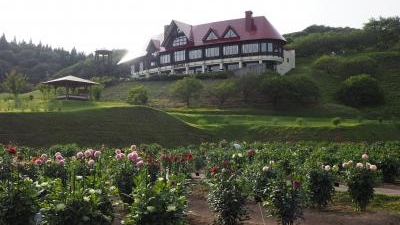 秋田国際ダリア園 秋田県秋田市雄和妙法 植物園 Yahoo ロコ