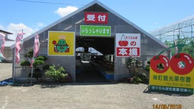 神町観光果樹園 山形県東根市若木大通り 牧場 農場 農園 Yahoo ロコ