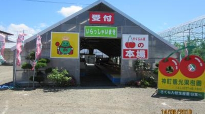 神町観光果樹園 山形県東根市若木大通り 牧場 農場 農園 Yahoo ロコ