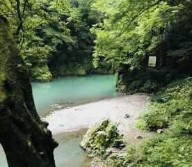 奥多摩大橋 東京都西多摩郡奥多摩町川井 Yahoo ロコ