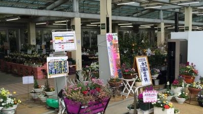 株式会社サカタのタネ ガーデンセンター 横浜 神奈川県横浜市神奈川区桐畑 フラワーショップ Yahoo ロコ