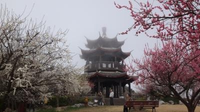 御津自然観察公園 世界の梅公園 兵庫県たつの市御津町岩見 Yahoo ロコ