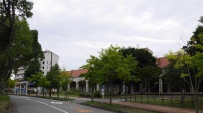 冒険アドベンチャーパーク しあわせの村 兵庫県神戸市北区しあわせの村 公園 Yahoo ロコ