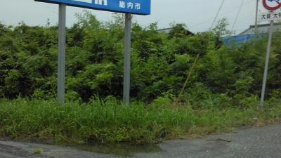村松浜海水浴場 新潟県胎内市村松浜 海水浴場 Yahoo ロコ