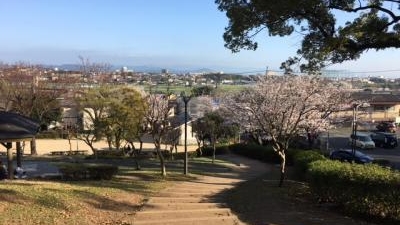 武蔵塚公園 熊本県熊本市北区龍田弓削 Yahoo ロコ