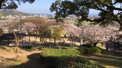 武蔵塚公園 熊本県熊本市北区龍田弓削 Yahoo ロコ