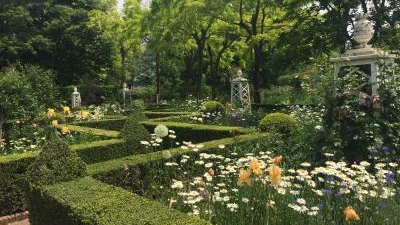 アンディ ウィリアムスボタニックガーデン 群馬県太田市新田市野井町 植物園 Yahoo ロコ