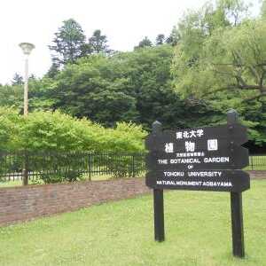 東北大学植物園 宮城県仙台市青葉区川内 植物園 Yahoo ロコ