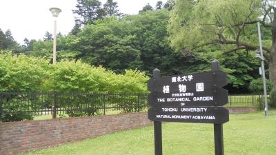 東北大学植物園 宮城県仙台市青葉区川内 植物園 Yahoo ロコ