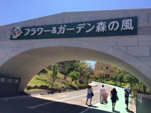 口コミ フラワー ガーデン森の風 岩手県岩手郡雫石町鴬宿 植物園 Yahoo ロコ