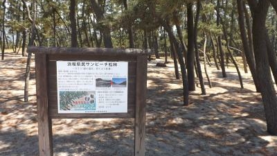 浜坂県民サンビーチ 兵庫県美方郡新温泉町芦屋 海岸等名 Yahoo ロコ