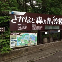 さかなと森の観察園 栃木県日光市中宮祠 その他文化施設 Yahoo ロコ
