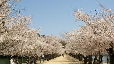 香川県立亀鶴公園 香川県さぬき市長尾名 Yahoo ロコ