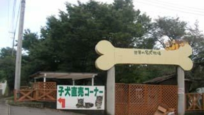 世界の名犬牧場 群馬県前橋市富士見町石井 公園 Yahoo ロコ