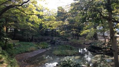 下茶屋公園 愛知県名古屋市中区橘 Yahoo ロコ