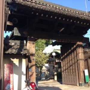 感田神社 大阪府貝塚市中町 神社 増強用 Yahoo ロコ