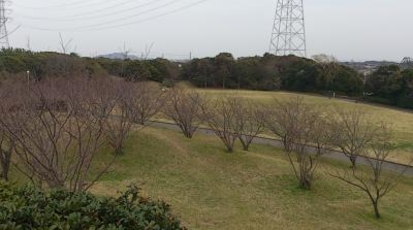 富津市民ふれあい公園 千葉県富津市青木 Yahoo ロコ